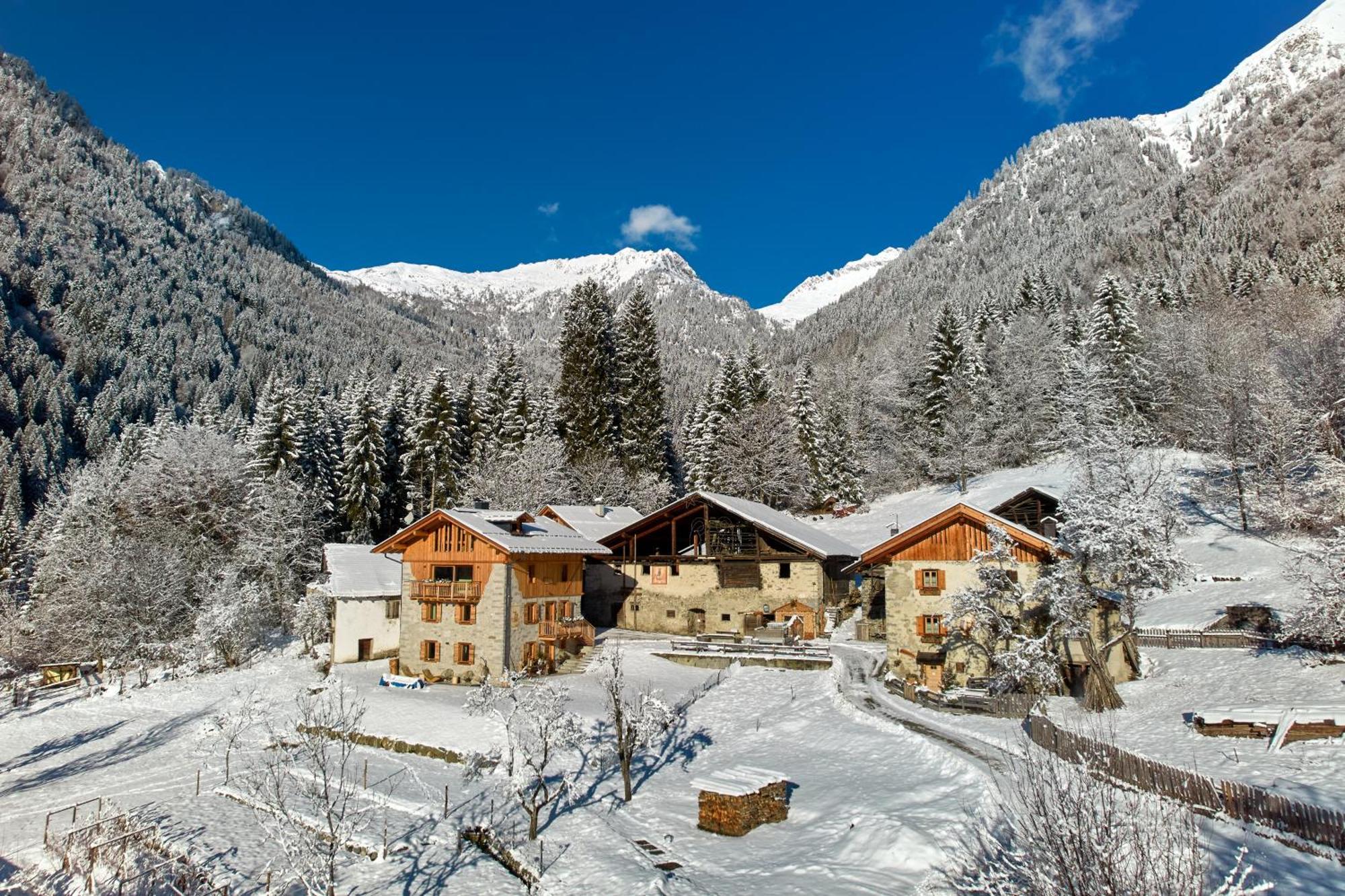 Pimont Alpine Chalet Madonna di Campiglio Luaran gambar